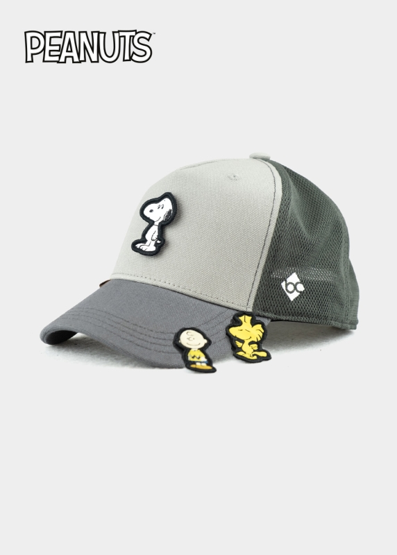 Cap "Peanuts Transformer" - grau (Curved)